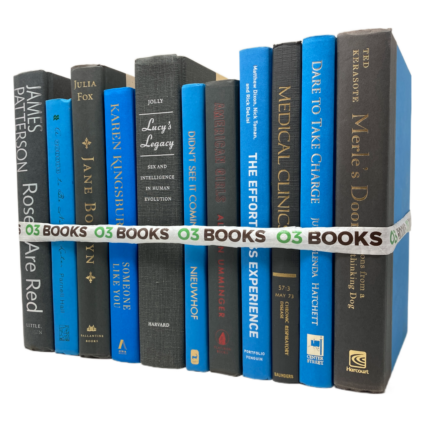Seaside Serenity Decorative Books Gray and Blue
