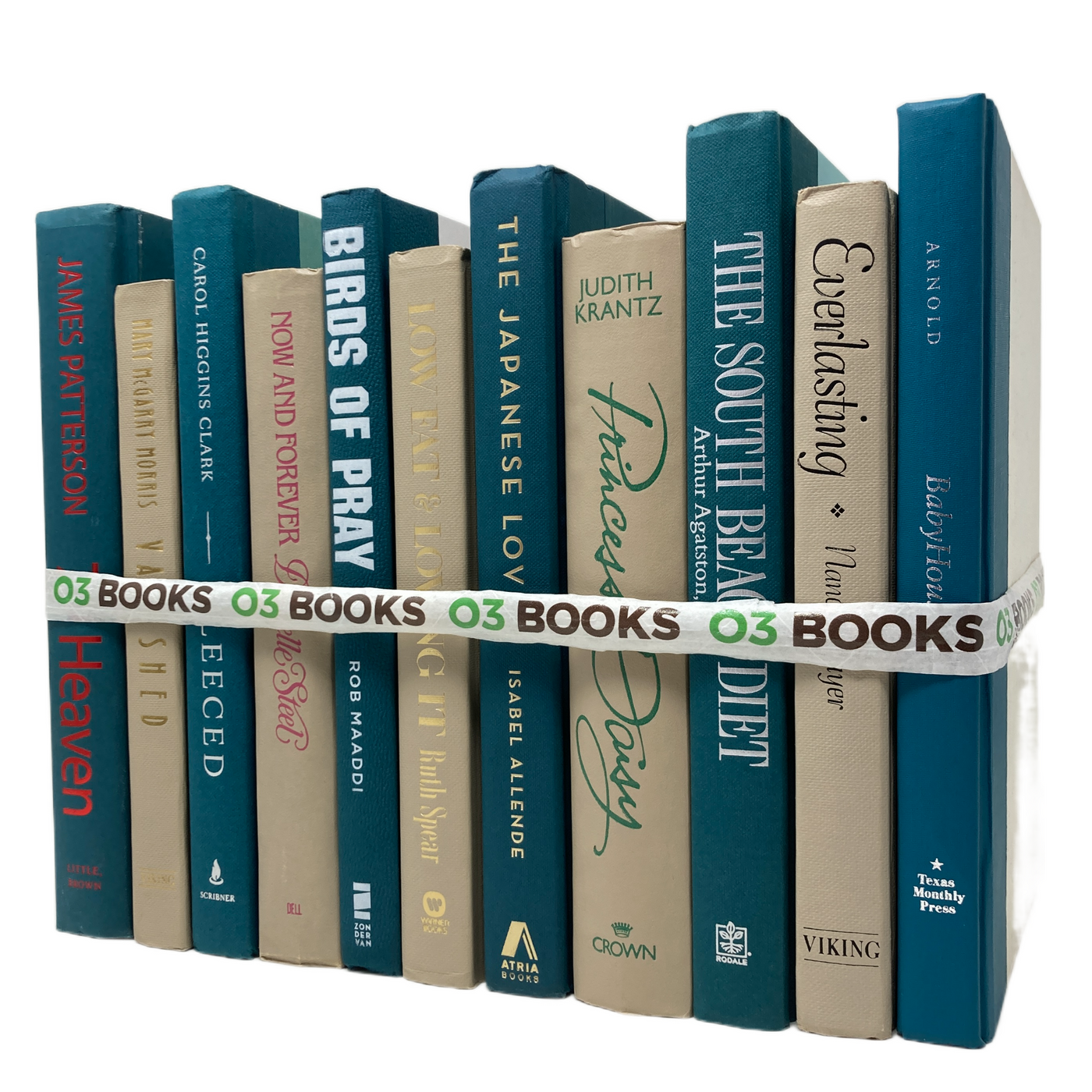 Rustic Chic Decorative Books Tan and Teal