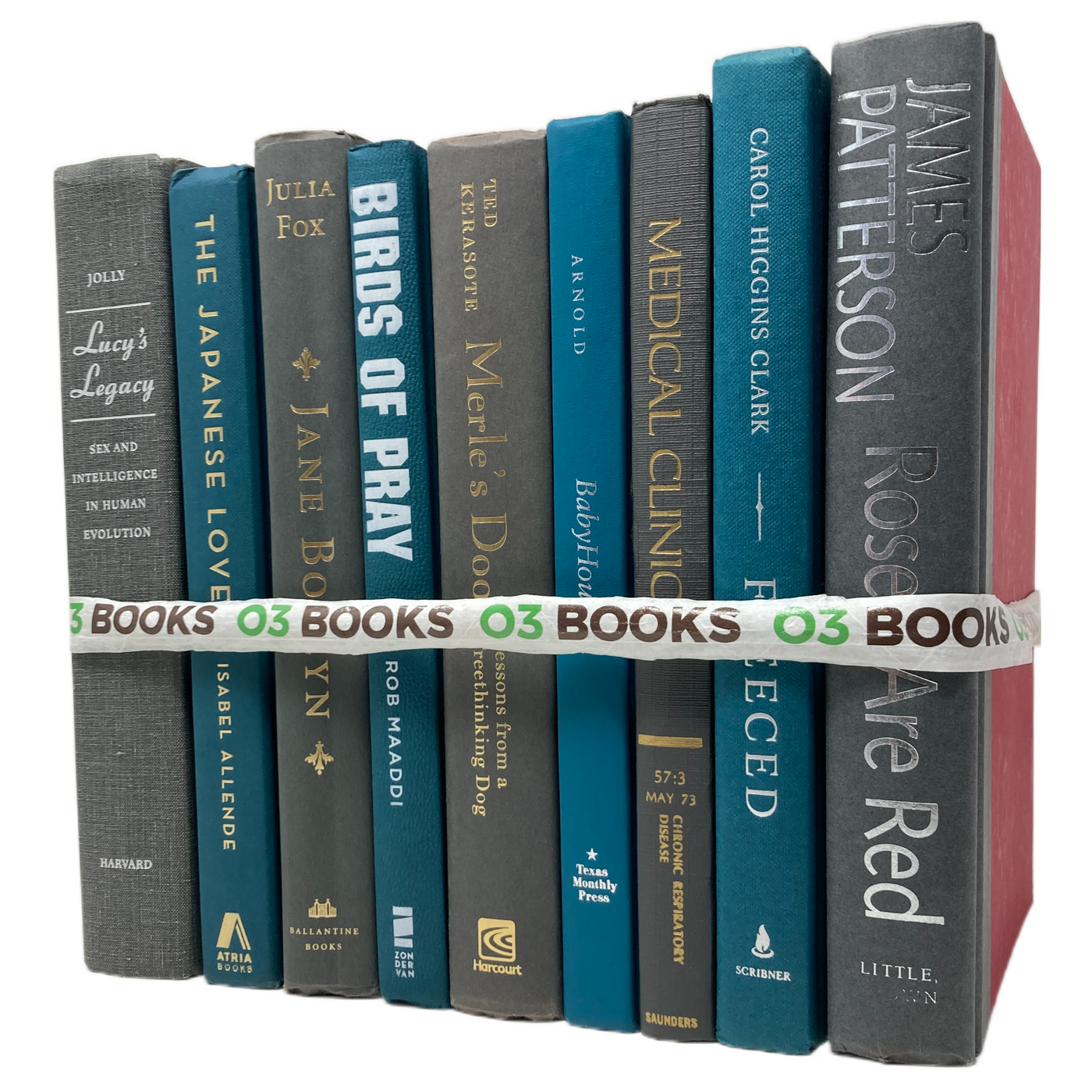 Stone Pathway Decorative Books Teal and Gray