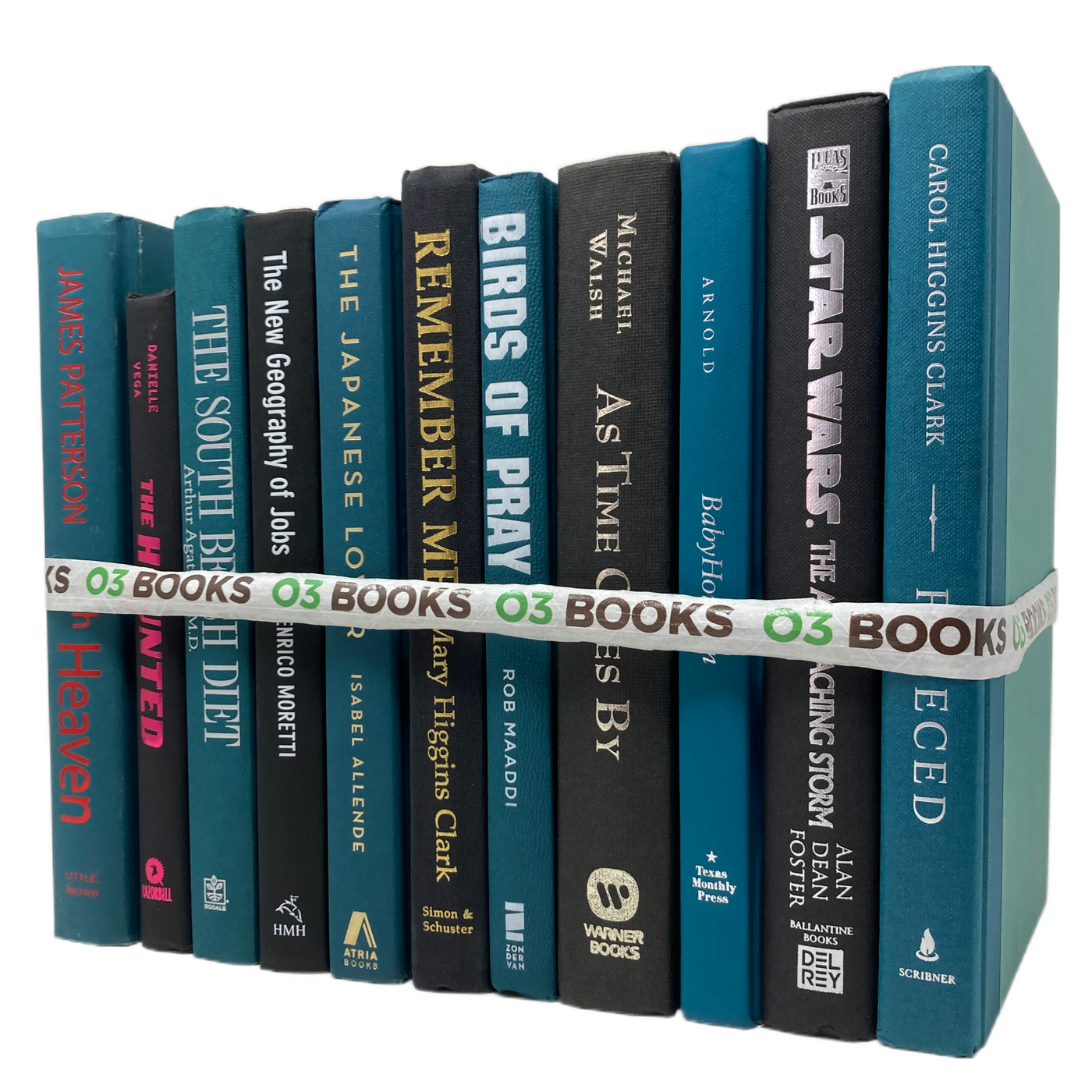 Bold Contrast Decorative Books Black and Teal