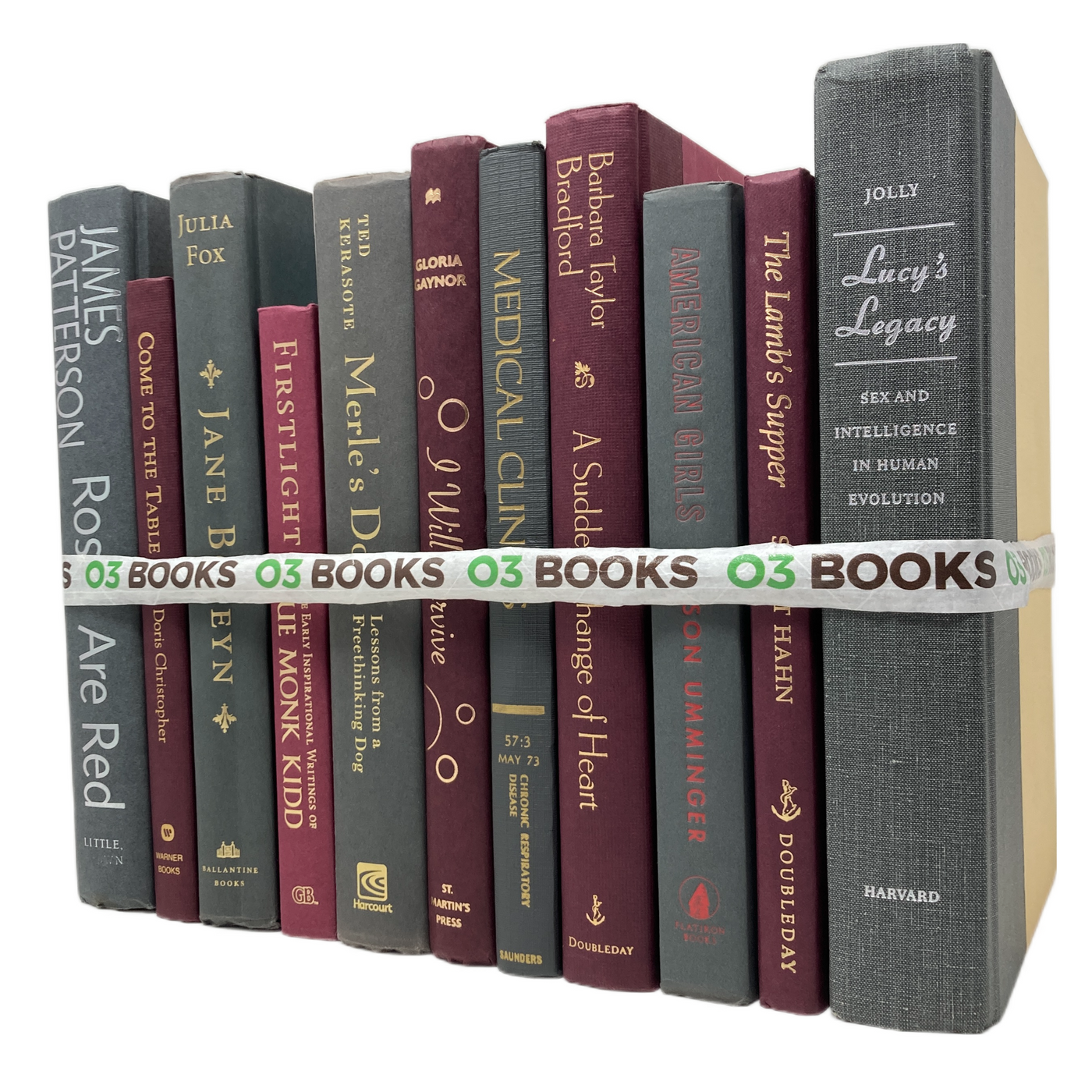 Rustic Fusion Decorative Books Gray and Burgundy