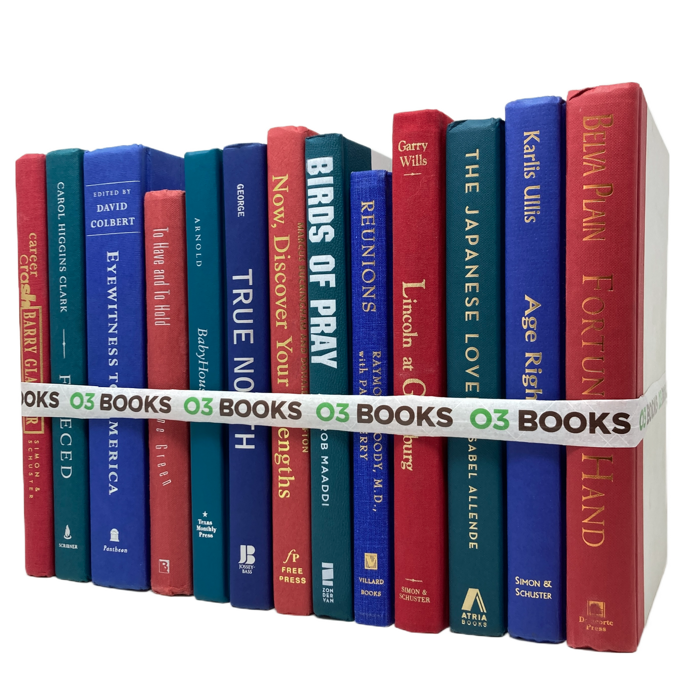 Bold and Teal Decorative Books Red Teal and Violet