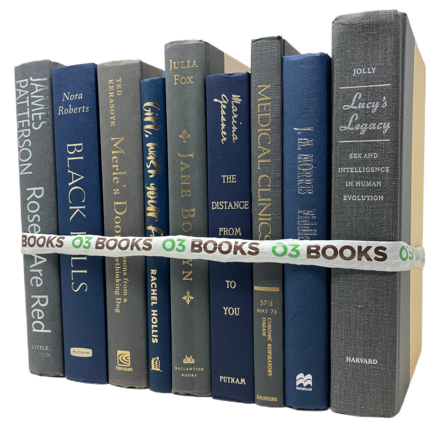 Sleek and Chic Decorative Books Navy Blue and Gray